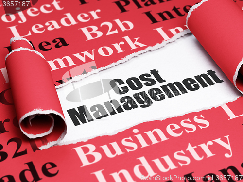 Image of Finance concept: black text Cost Management under the piece of  torn paper