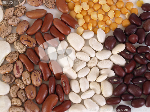 Image of Bean Soup Ingredients