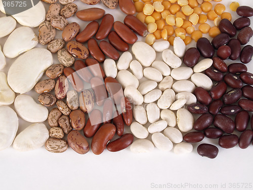 Image of Bean Soup Ingredients, text