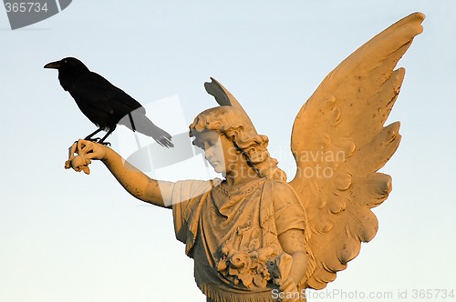 Image of crow and angel