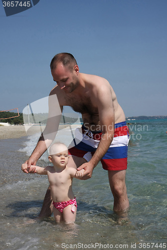 Image of First steps in the sea