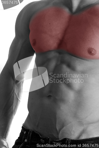 Image of bodybuilder body closeup