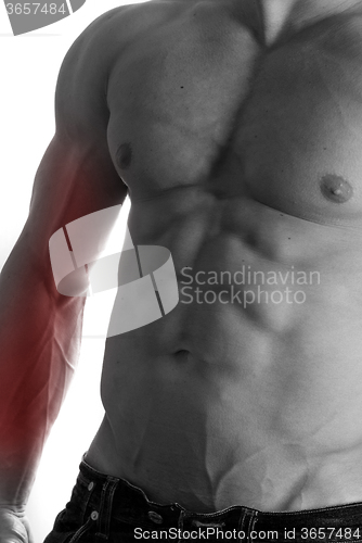 Image of bodybuilder body closeup