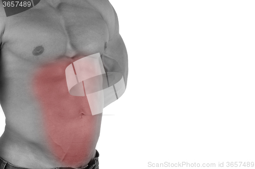 Image of bodybuilder body closeup
