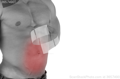 Image of bodybuilder body closeup