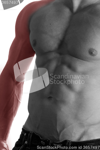 Image of bodybuilder body closeup