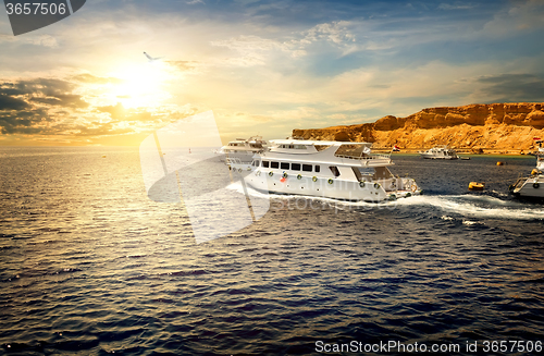 Image of Yachts in Red sea