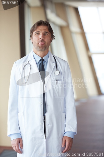 Image of portrait of handsome doctor