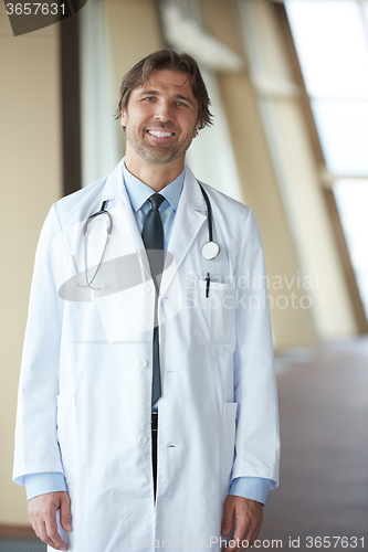 Image of portrait of handsome doctor