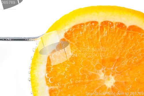 Image of Orange slice in water