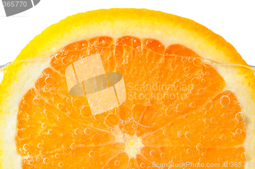 Image of Orange slice in water