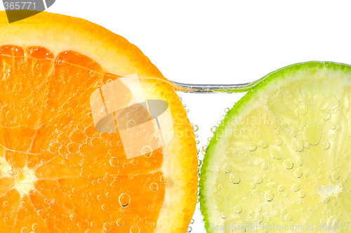 Image of Orange and lime slices in water