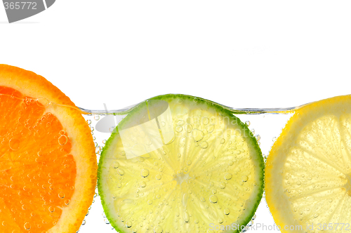 Image of Orange lemon and lime slices in water