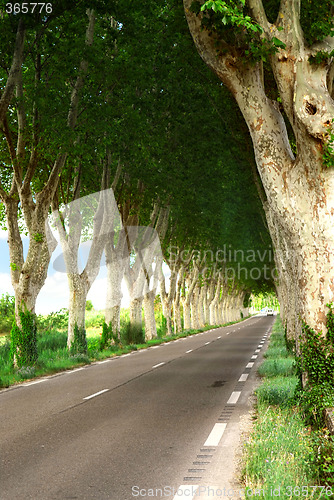 Image of French country road