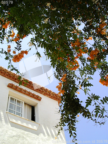 Image of House and Flowers