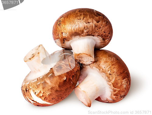 Image of Three whole fresh brown champignons