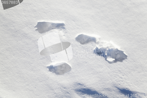 Image of snow covered field  