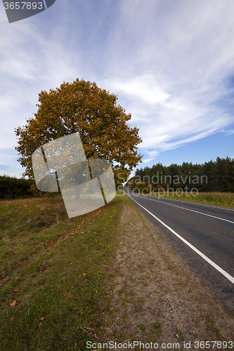 Image of the autumn road  