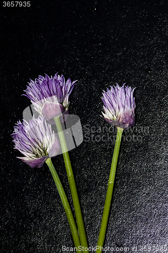 Image of chives