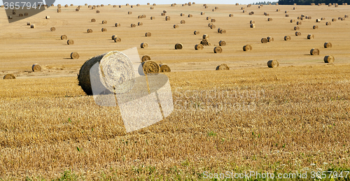 Image of stack of straw in the field  