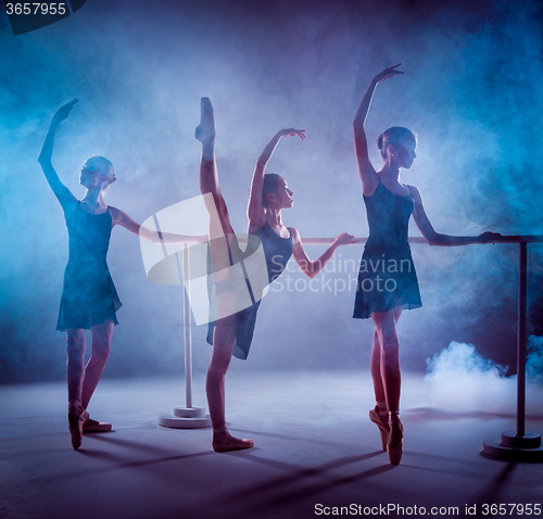 Image of The young ballerinas stretching on the bar 