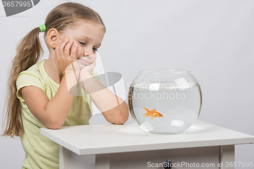 Image of Four-year girl is looking at a goldfish in an aquarium