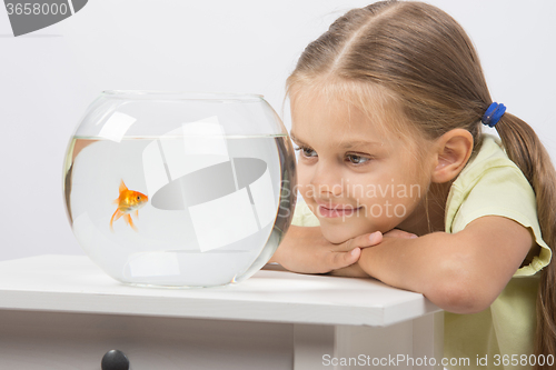 Image of Six year old girl put her head on the handle and looks at a goldfish in an aquarium