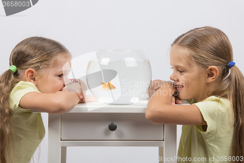 Image of The girls watching the behavior of goldfish