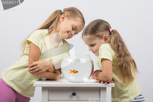 Image of Two girls looking at a goldfish