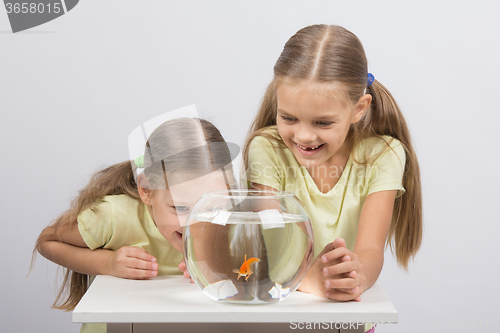 Image of The girls are laughing and having fun watching the behavior of goldfish