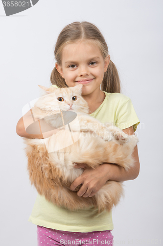 Image of Six year old girl holding adult domestic cat