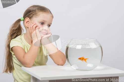 Image of Four-year girl admires a goldfish in an aquarium