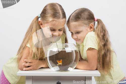 Image of Two girls looking down at a goldfish in an aquarium