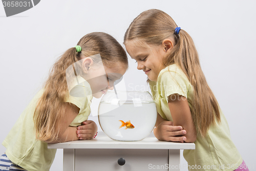 Image of Two little sister gave an aquarium with goldfish