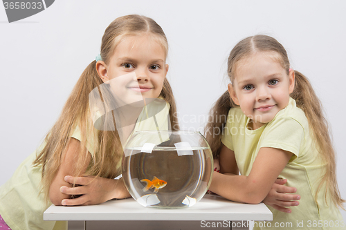 Image of Two girls sit at a round aquarium with goldfish and look in the frame