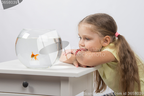 Image of Thoughtful and dreams of a girl sitting in front of a goldfish