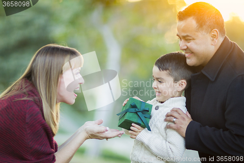 Image of Young Mixed Race Son Handing Gift to His Mom