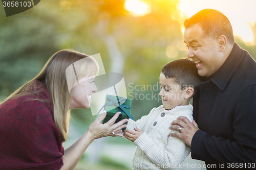 Image of Young Mixed Race Son Handing Gift to His Mom