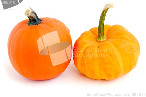 Image of Mini pumpkin