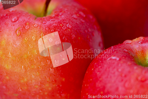 Image of Red apples macro