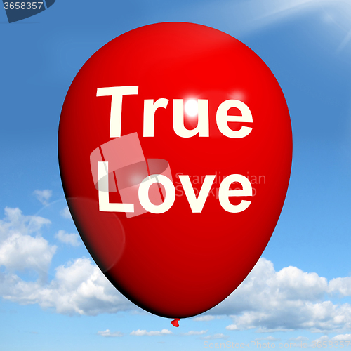 Image of True Love Balloon Represents Lovers and Couples