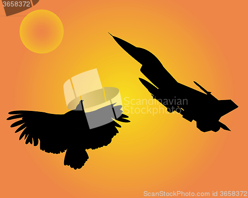 Image of aircraft and bird eagle