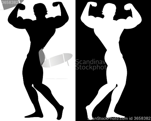 Image of bodybuilder