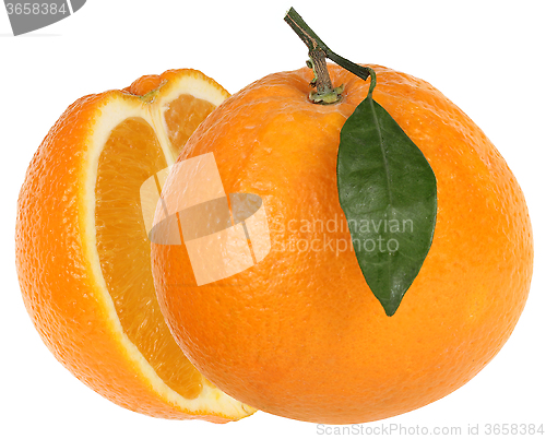 Image of Ripe orange fruit