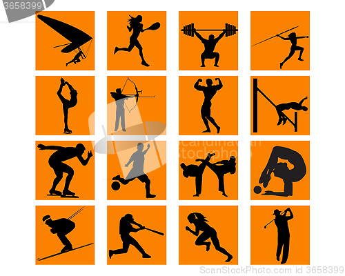 Image of different sports