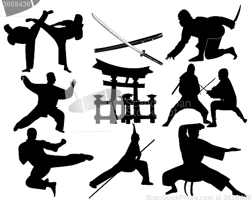 Image of martial arts