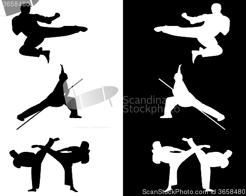 Image of taekwondo and karate