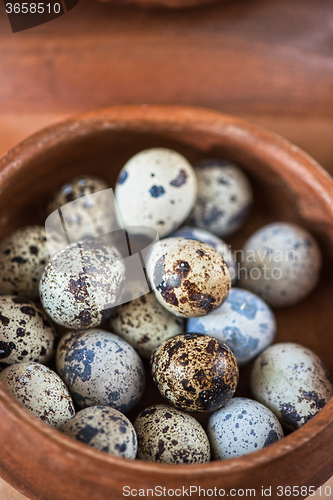 Image of Fresh quail eggs