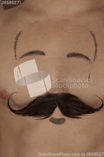 Image of male torso with moustache and beard 