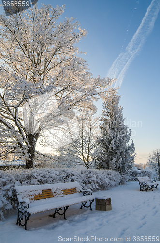 Image of A beautiful city park with trees covered with hoarfrost